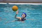 WWPolo vs CC  Wheaton College Women’s Water Polo vs Connecticut College. - Photo By: KEITH NORDSTROM : Wheaton, water polo